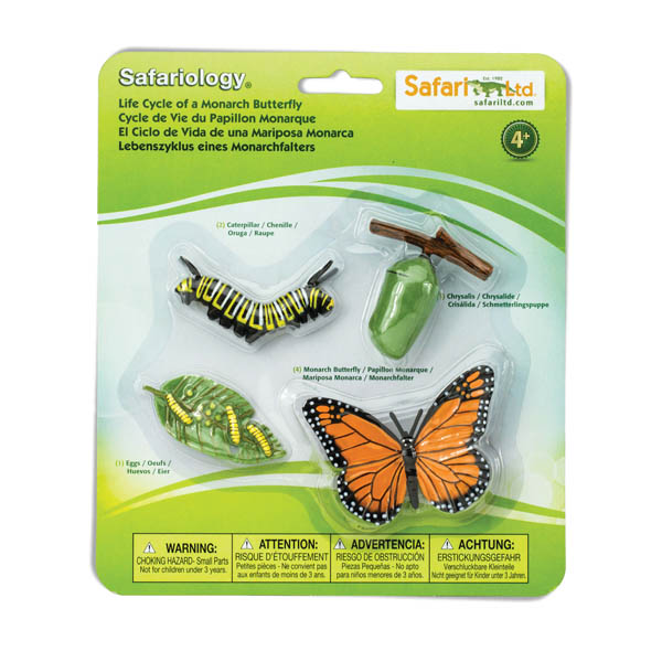 Life Cycle of a Monarch Butterfly (Safariology)