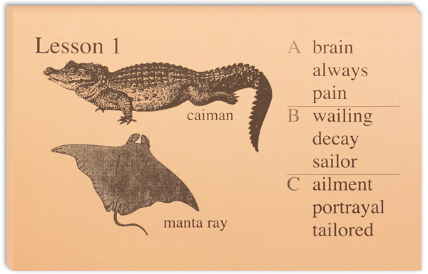 excellence-in-spelling-phonetic-zoo-lesson-cards-only-institute-for