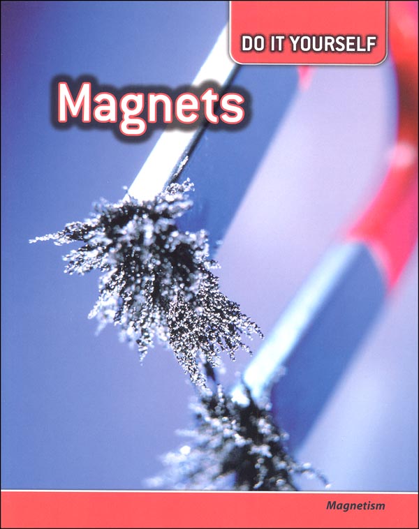 (Do It Yourself) Capstone Press 9781432911133