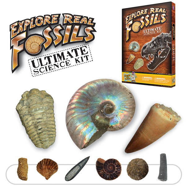 Explore 15 Real Fossils Ultimate Science Kit Dr. Cool Science