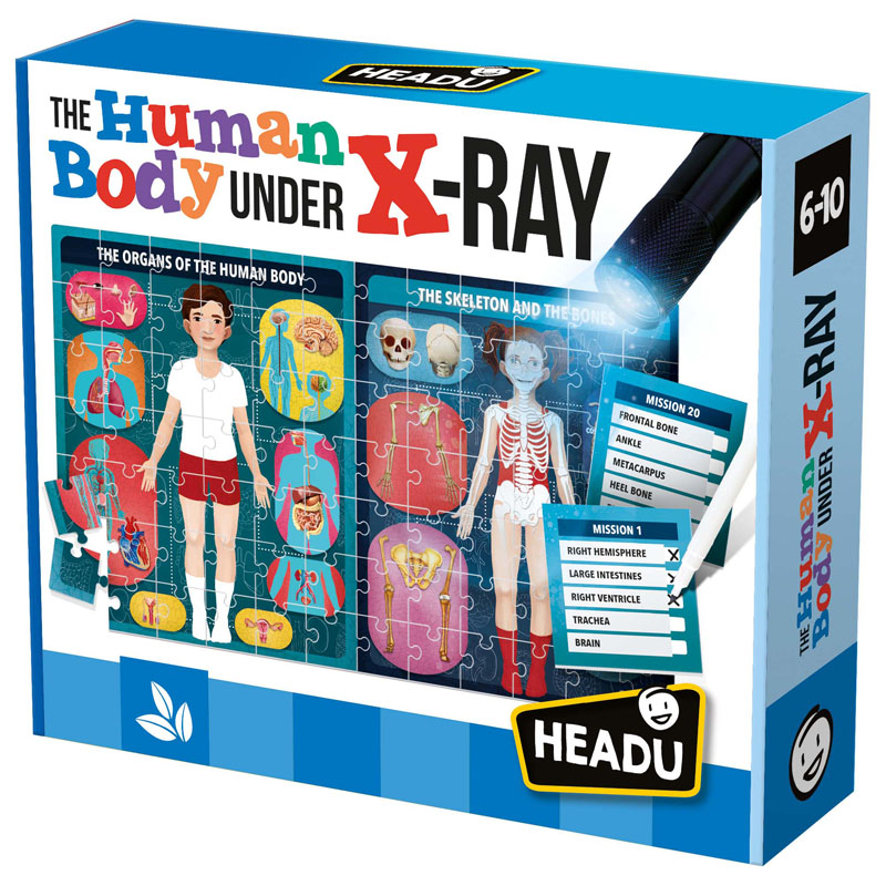 Human Body Under X-Ray Puzzle