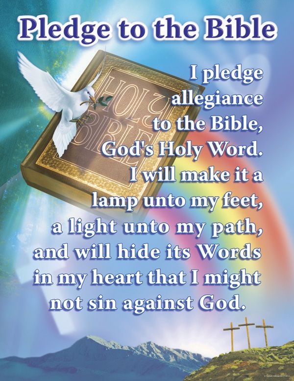 Pledge To The Bible 