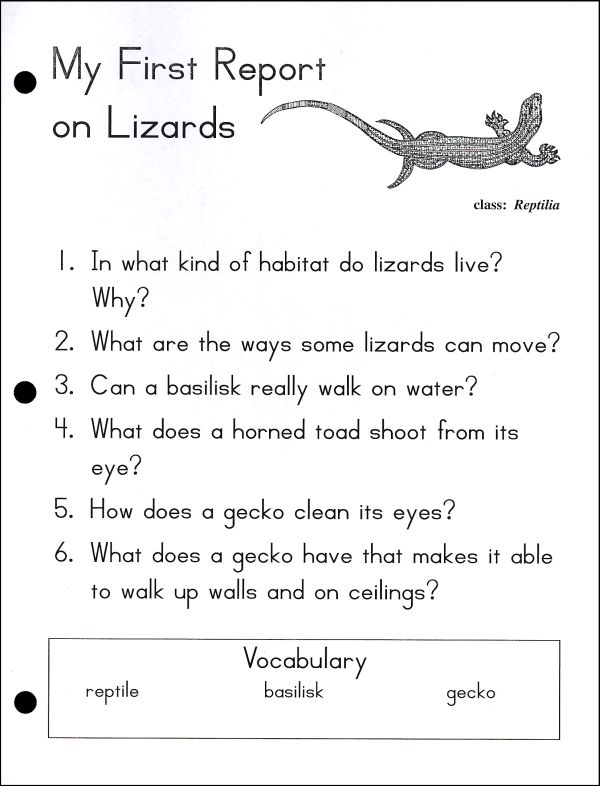 Uses of reptiles image