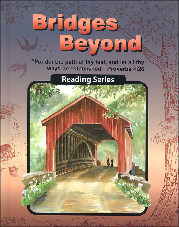 Bridges Beyond Reader