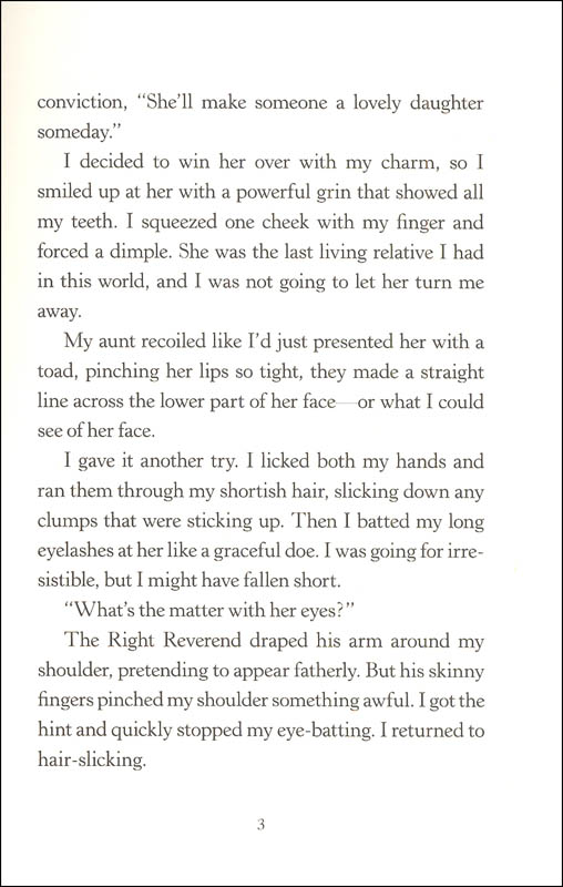 Detective's Assistant Little, Brown and Company 9780316403498