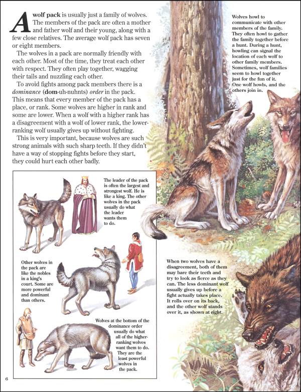 Wolves Zoobook | Zoobooks | 9780937934203