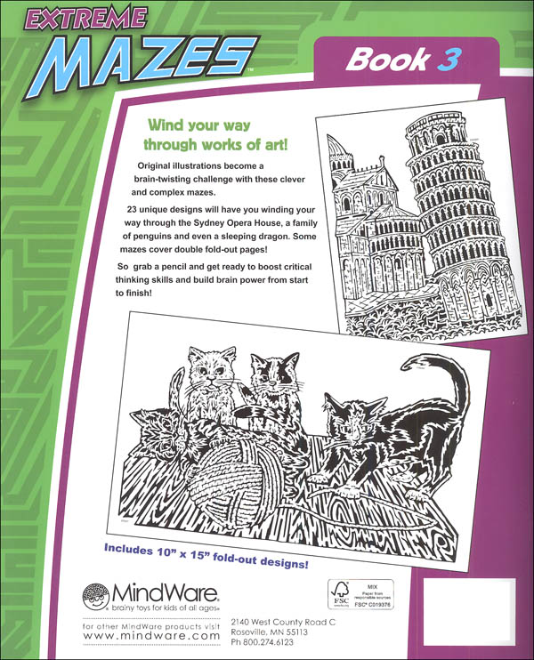 Extreme Mazes Book 3 | MindWare