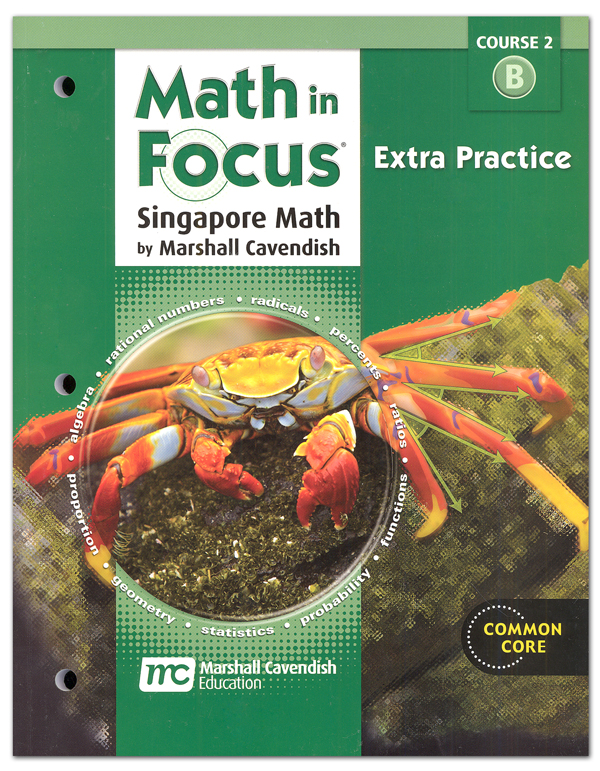 Math in Focus Course 2 Extra Practice B (Gr 7