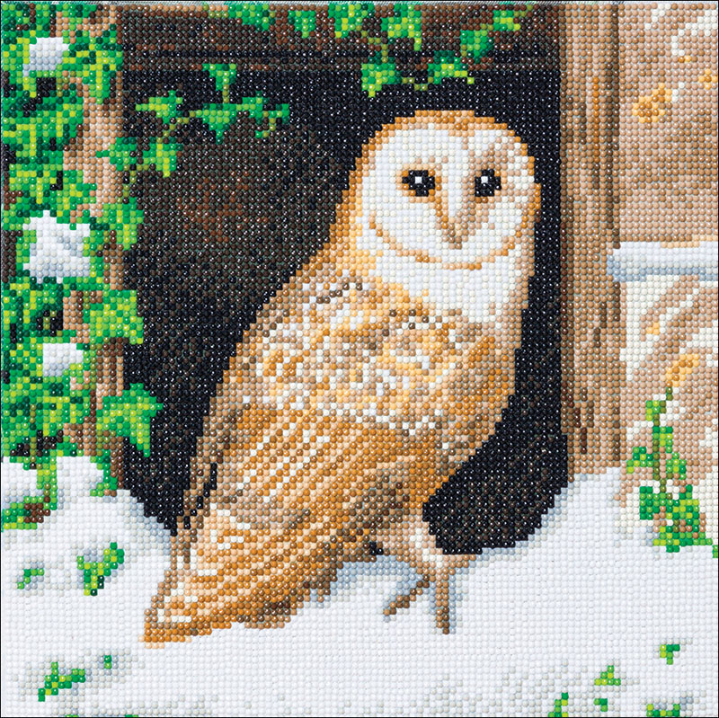 Crystal Art Medium Framed Kit - Snowy Owl