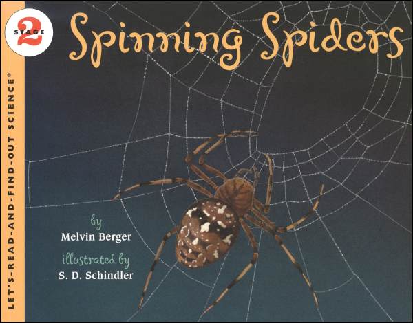 Spinning Spiders (LRAFOS L2)
