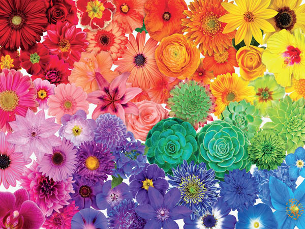 Colorstory Flower Power Puzzle (750 piece) | Ceaco