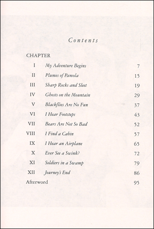 Lost on a Mountain in Maine HarperCollins Childrens 9780688115739