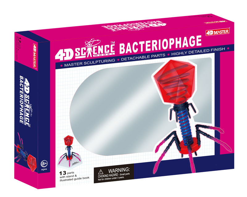 4D Science Bacteriophage Anatomy Model