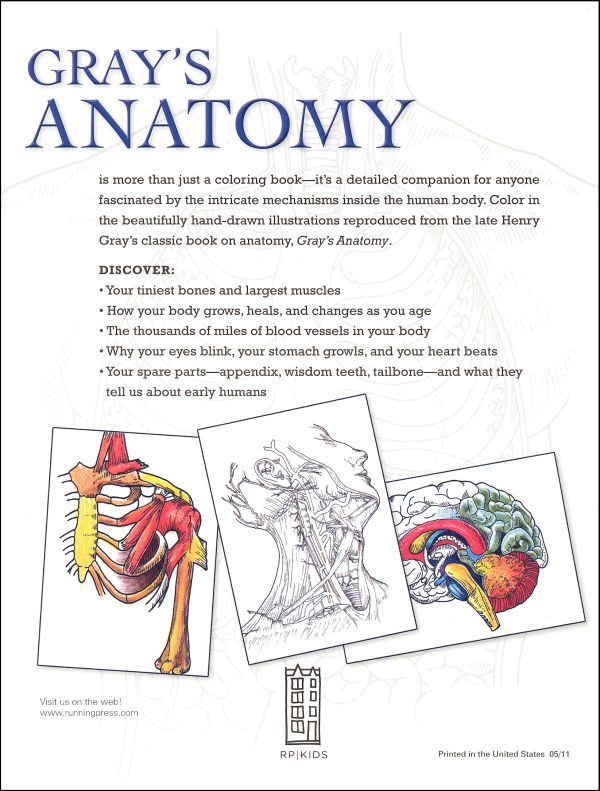 Gray's Anatomy Coloring Book Start Exploring Running Press