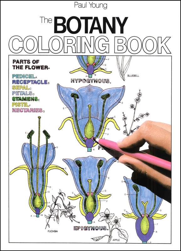 Botany Coloring Book