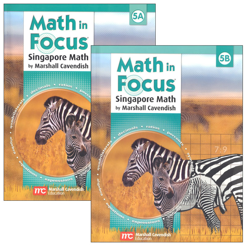 Math in Focus Grade 5 Student Book A & B Set