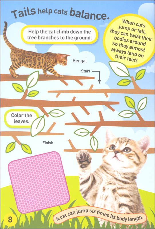 National Geographic Kids Cats and Dogs Super Sticker Activity Book