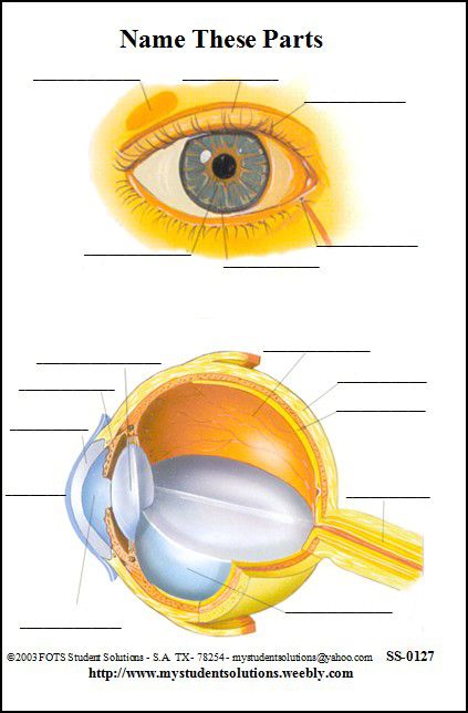 eye-6-x-9-chart-student-solutions