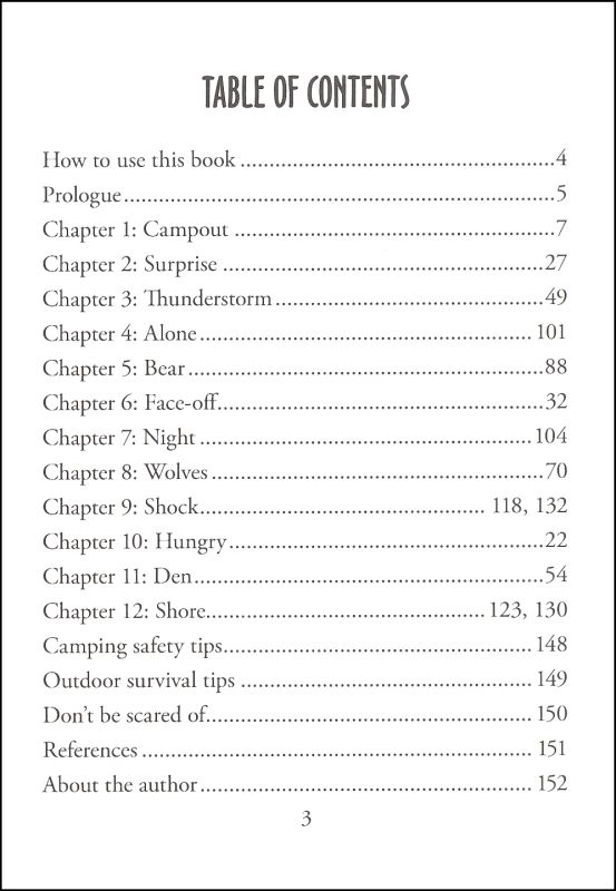 Lost in the Wild Choose Your Path Book Adventure Publications 9781591930907