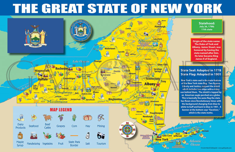 New York State Map Chart (11" x 17")