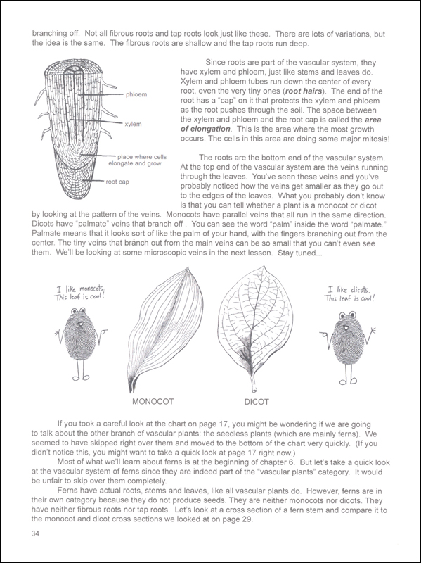 Botany in 8 Lessons Student Text Ellen McHenry's Basement