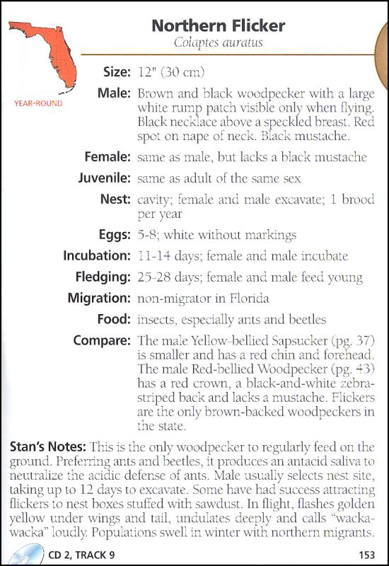Birds of Florida Field Guide (3rd Edition) | Adventure Publications ...