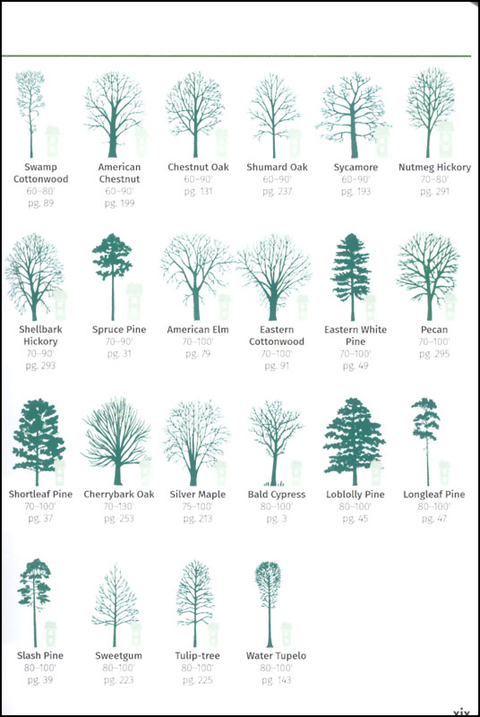 south-carolina-tree-identification-chart