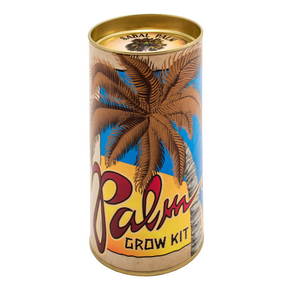 Palm Tree GrowATree Kit Channel Craft