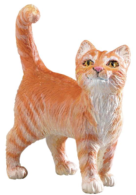 Orange Tabby Cat (Safari Farm)