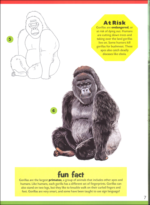 Learn to Draw Rainforest & Jungle Animals | Walter Foster Publishing