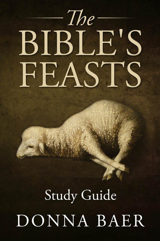 Bible's Feasts Study Guide | Donna Baer | 9780615640815