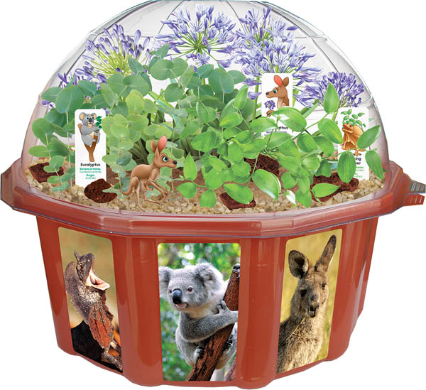 Australian Outback Adventure Dome Terrarium DuneCraft