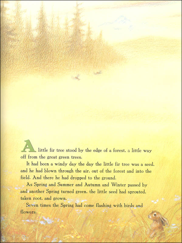 Little Fir Tree | HarperCollins Childrens | 9780064435291