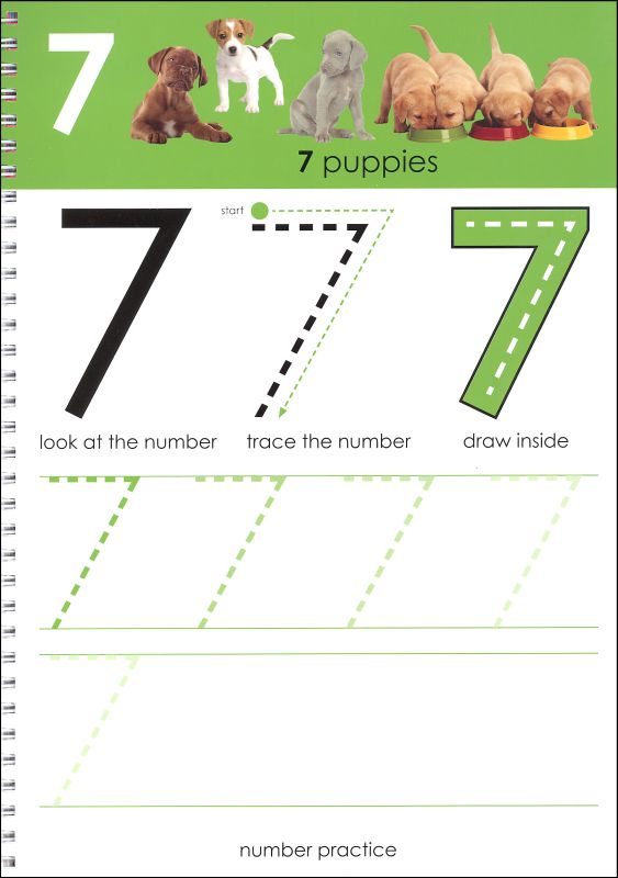 Wipe Clean Workbooks Numbers 1 20 Priddy Books 9780312508692