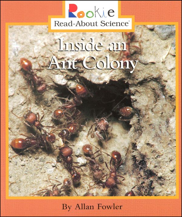 85 Best Seller Ant Colony Book with Best Writers