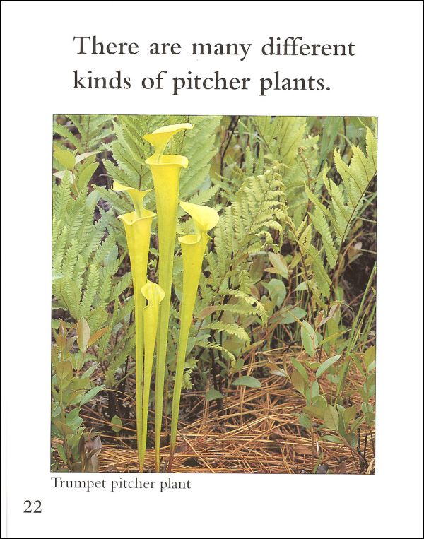 Plants That Eat Animals (Rookie ReadAbout Sc Children's Press 9780516273099