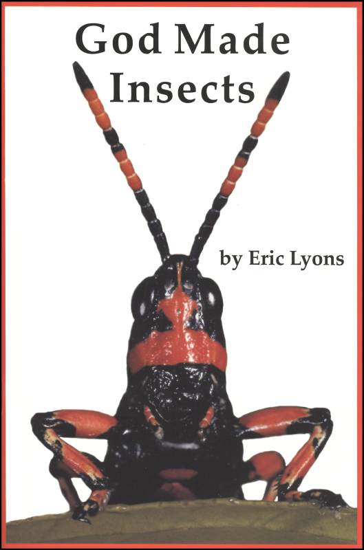 God Made Insects