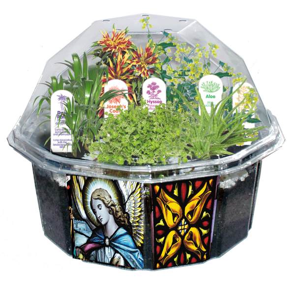 Biblical Garden Dome Terrarium Kit DuneCraft