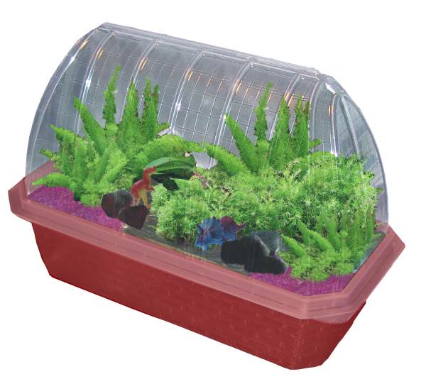 Prehistoric Dinosaur Land (Mini Worlds Terrarium) Toys By Nature