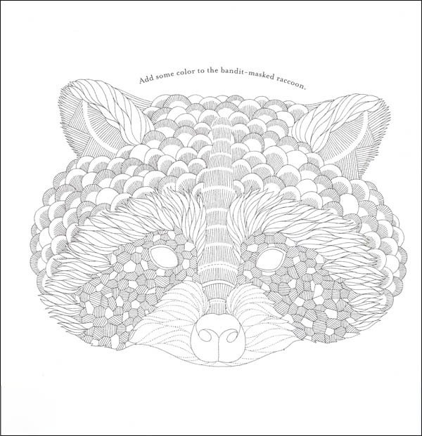 Download Animal Kingdom Color Me, Draw Me | Lark Crafts | 9781454709107