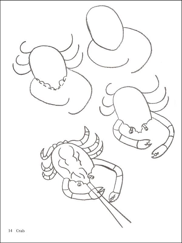 How to Draw Aquarium Animals | Dover Publications | 9780486430584