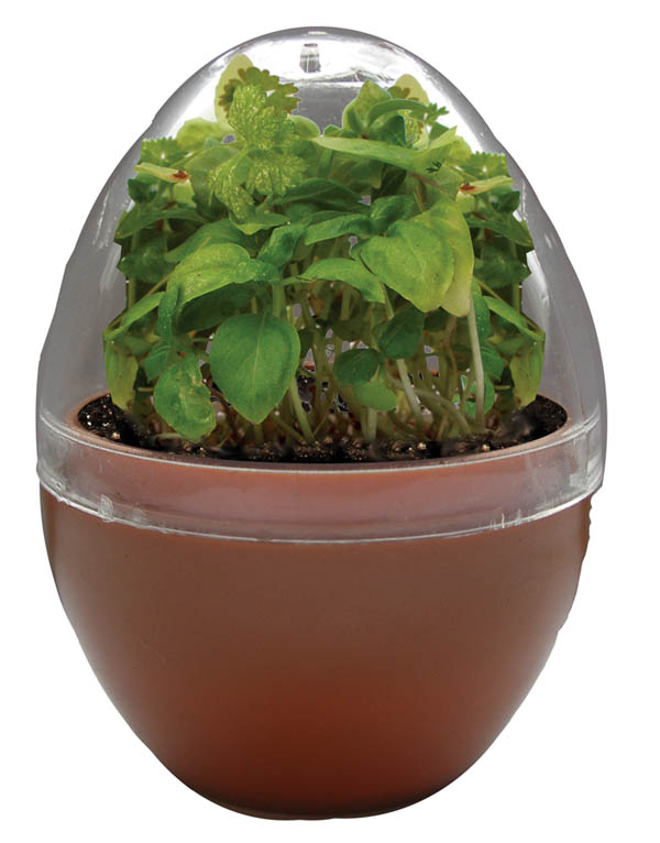 Tasty Herb Egg Micro Terrarium DuneCraft