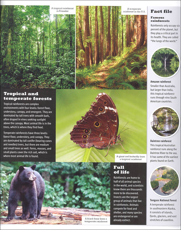 Rainforests (Visual Explorers) | Barron's Educational Series ...