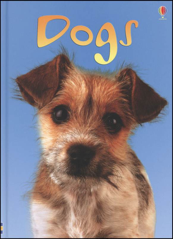 Dogs Usborne Beginners EDC Usborne 9780794513955
