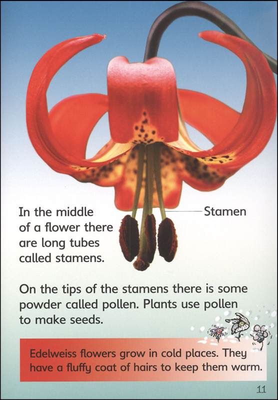 How Flowers Grow (Usborne Beginners) EDC / Usborne 9780794513405