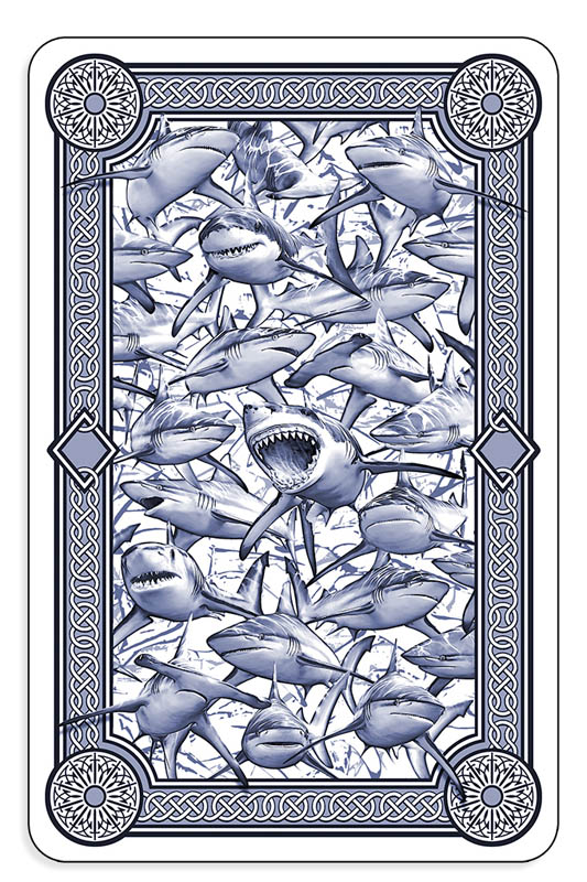 card shark spokane wa
