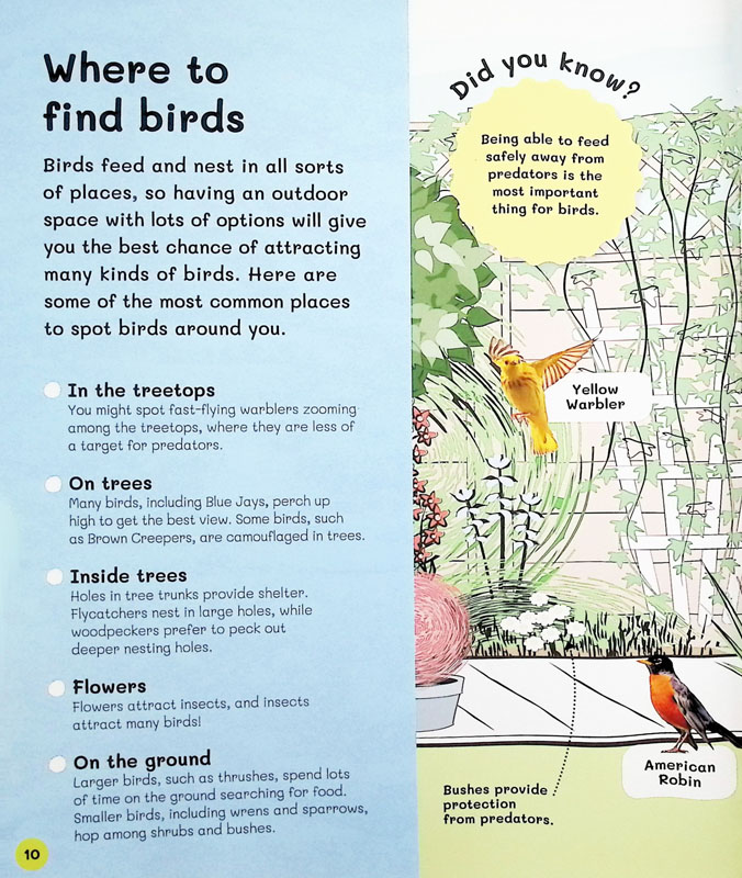 Children's Book of Birdwatching | DK Children | 9780744072808