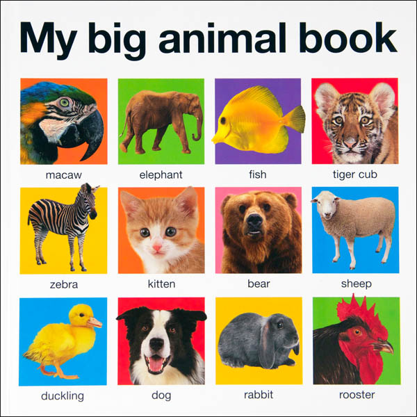 My Big Animal Book (My Big Board Book)