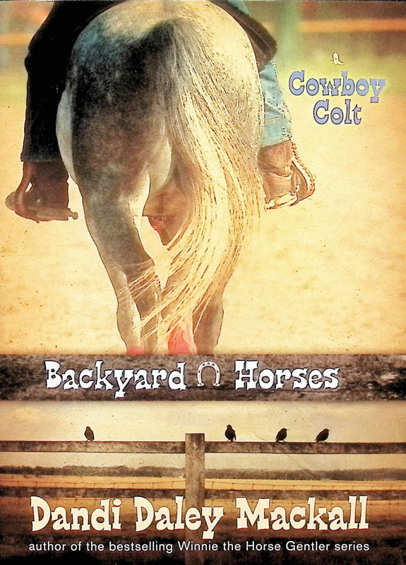 Cowboy Colt (Backyard Horses)
