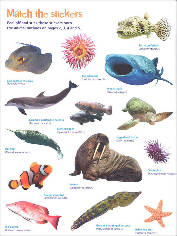 Natural History Museum Ocean Sticker Book | Trafalgar Square ...